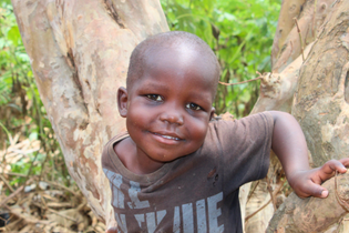 A 2-year-old Ugandan boy sits in a tree. She smiles sweetly at the camera and wears a brown t-shirt.