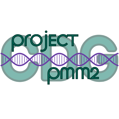 Rare Village Foundation logo logo