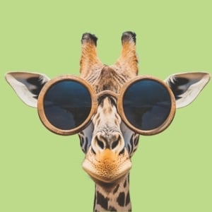 Envision Call Center's Avatar