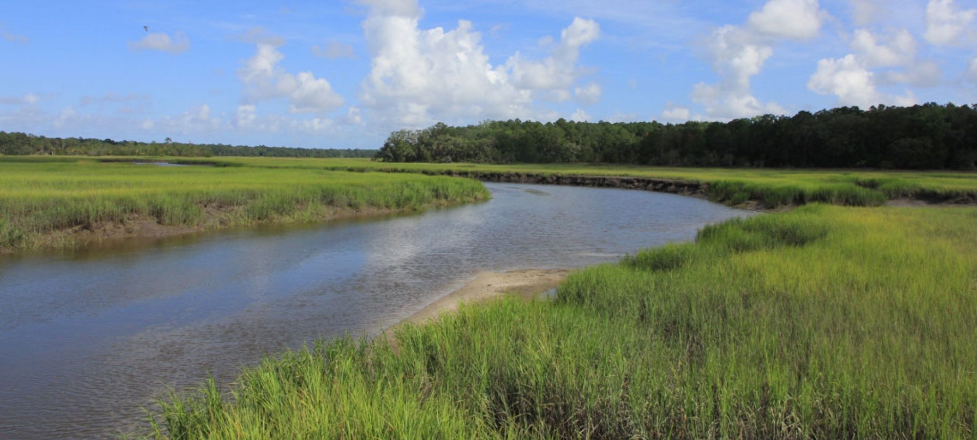 Marsh View