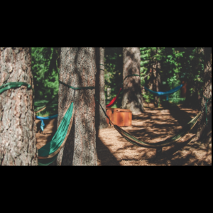 Kiley Rucker's fundraising page for Okizu