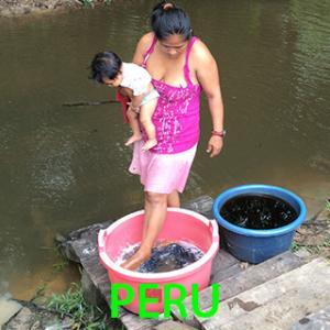 Peru's Avatar