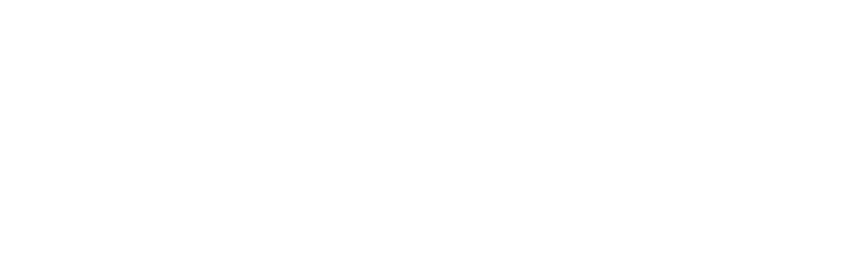 Society For Vascular Surgery Foundation logo logo