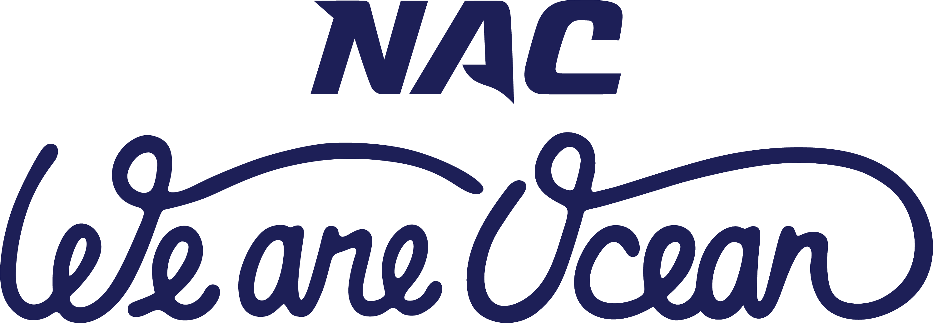 Go to the NAC / WAO 2024 Annual Campaign event page