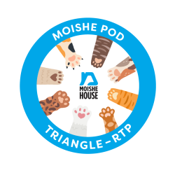 38. Moishe Pod RTP