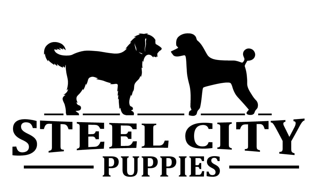 steel city pups