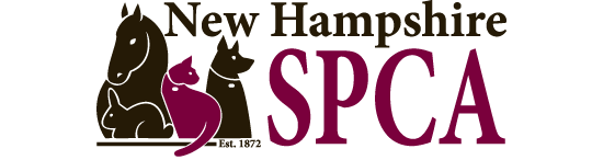 Go to https://nhspca.org/givingtuesday/
