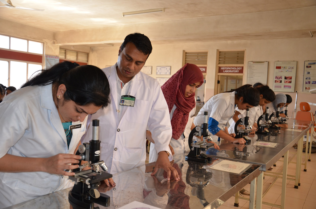 Science Without Borders Seeding Labs Fall Mixer Campaign