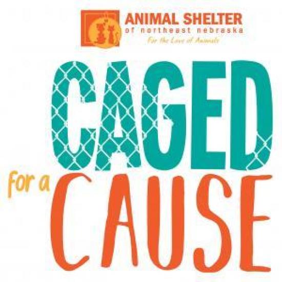 fundraising-for-animal-shelter-of-northeast-nebraska