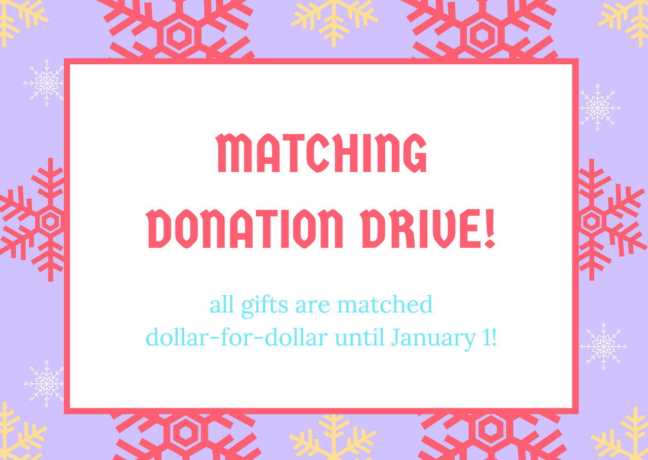 Donation Matching Campaign Campaign