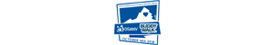 Go to the DSANV Buddy Walk 2018 landing page