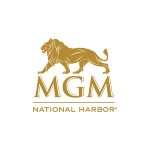View Top Team - 'MGM National Harbor' team page using image