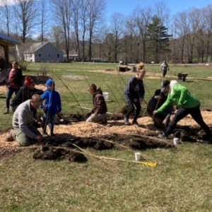 View Top Team - 'Guilford Central School Gardens' team page using image