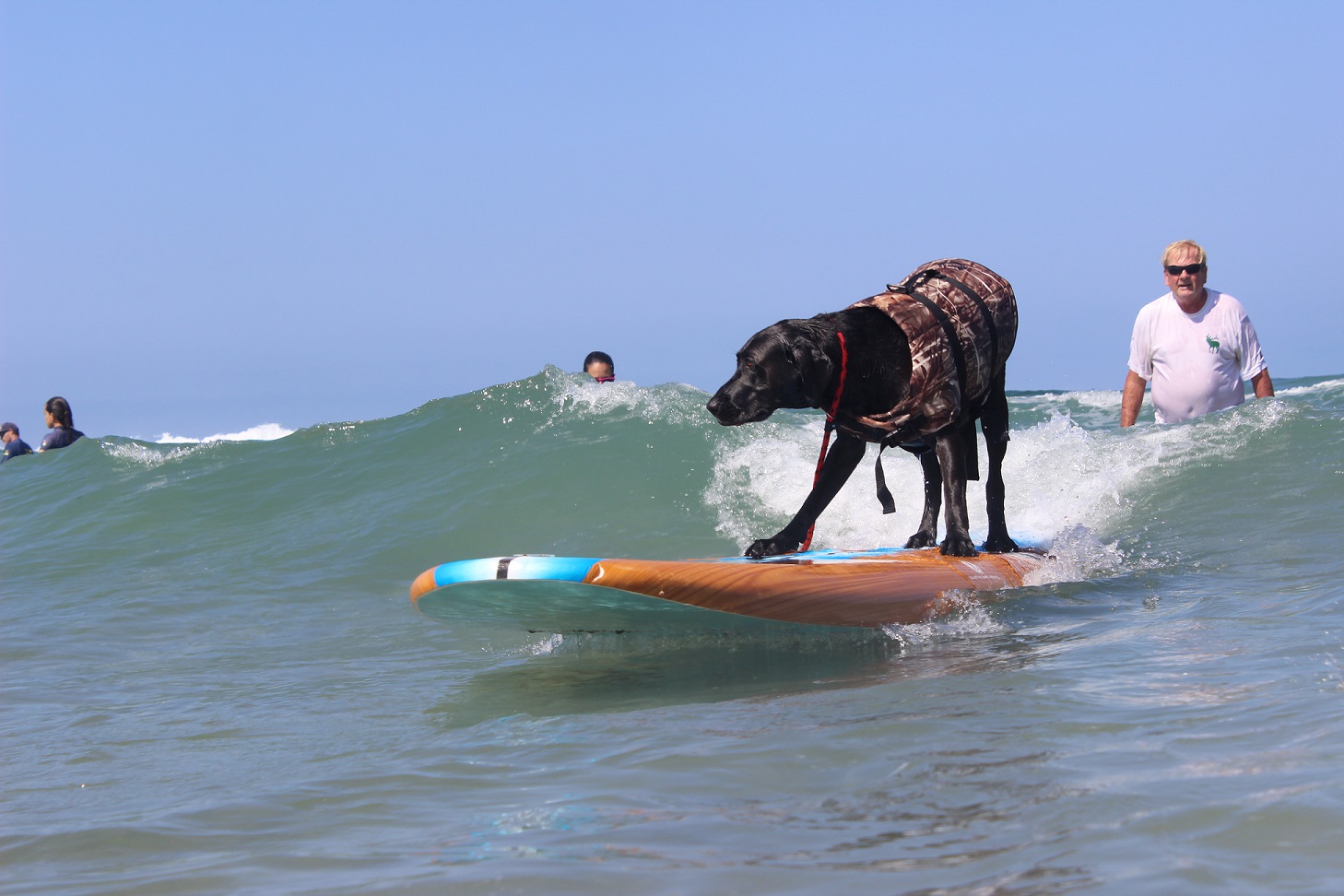 2019 Surf Dog SurfAThon Lessons Campaign