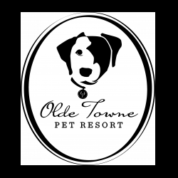 Check Out Olde Towne Pet Resort S Team Fundraising Page For Special Olympics Virginia