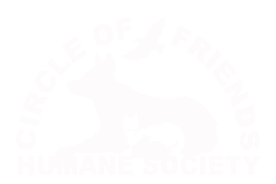 Campaign logo