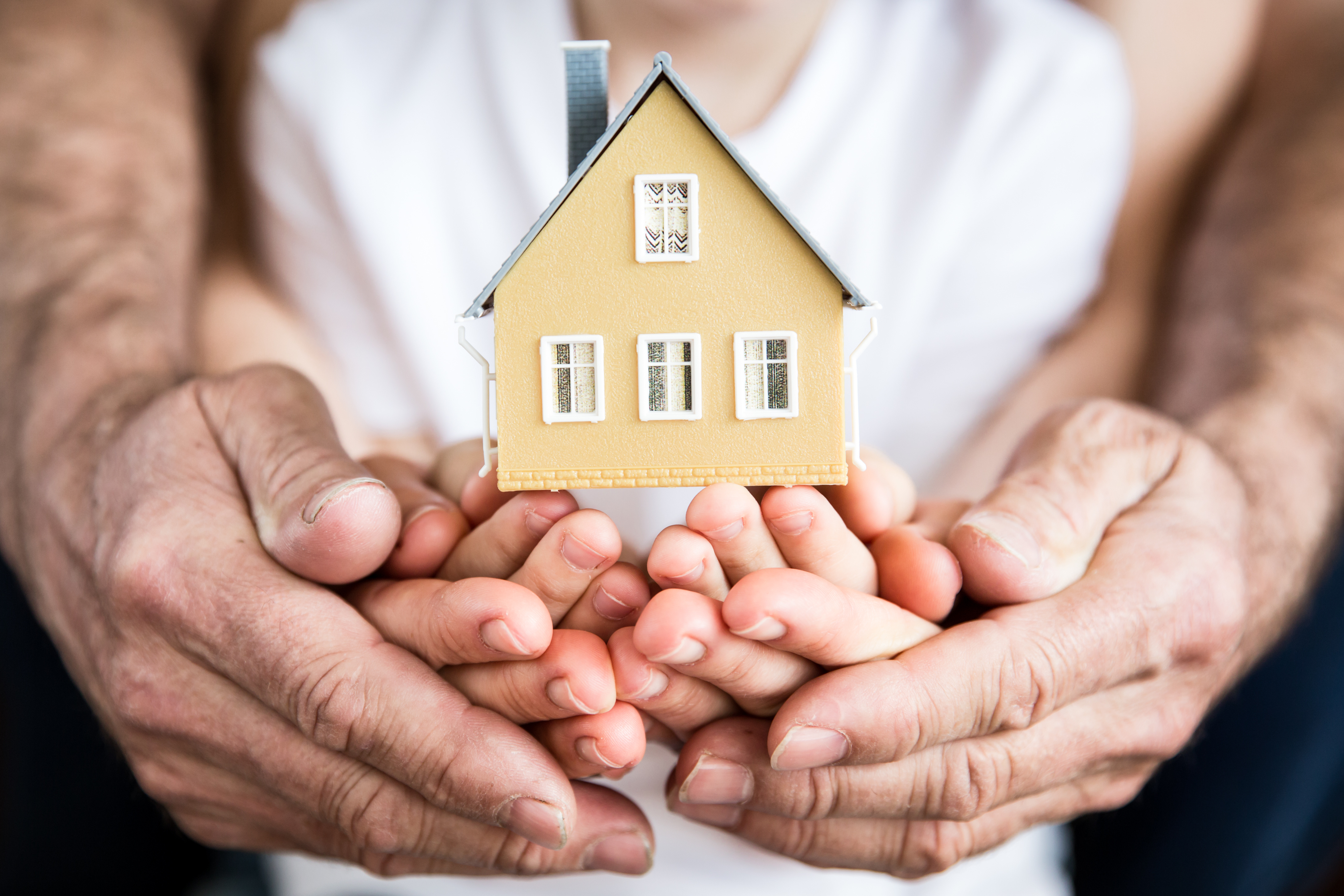 Kaitlyn Williams: Helping Families Find Homes