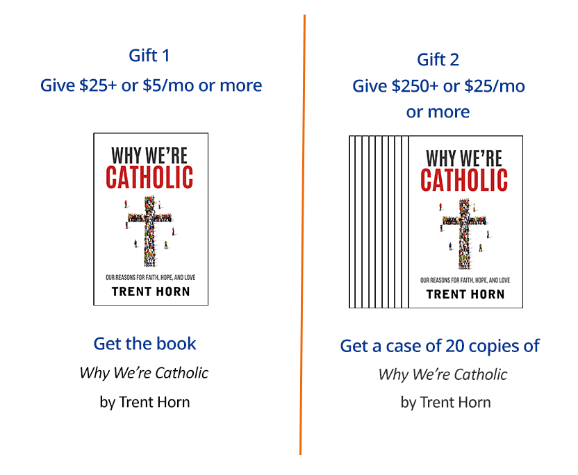 Donate to A2315 - Why We're Catholic