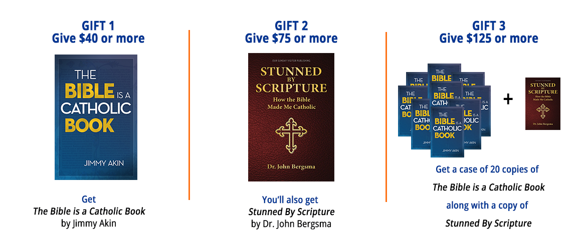 How Many Books Are Contained In The Catholic Bible How Many Books In