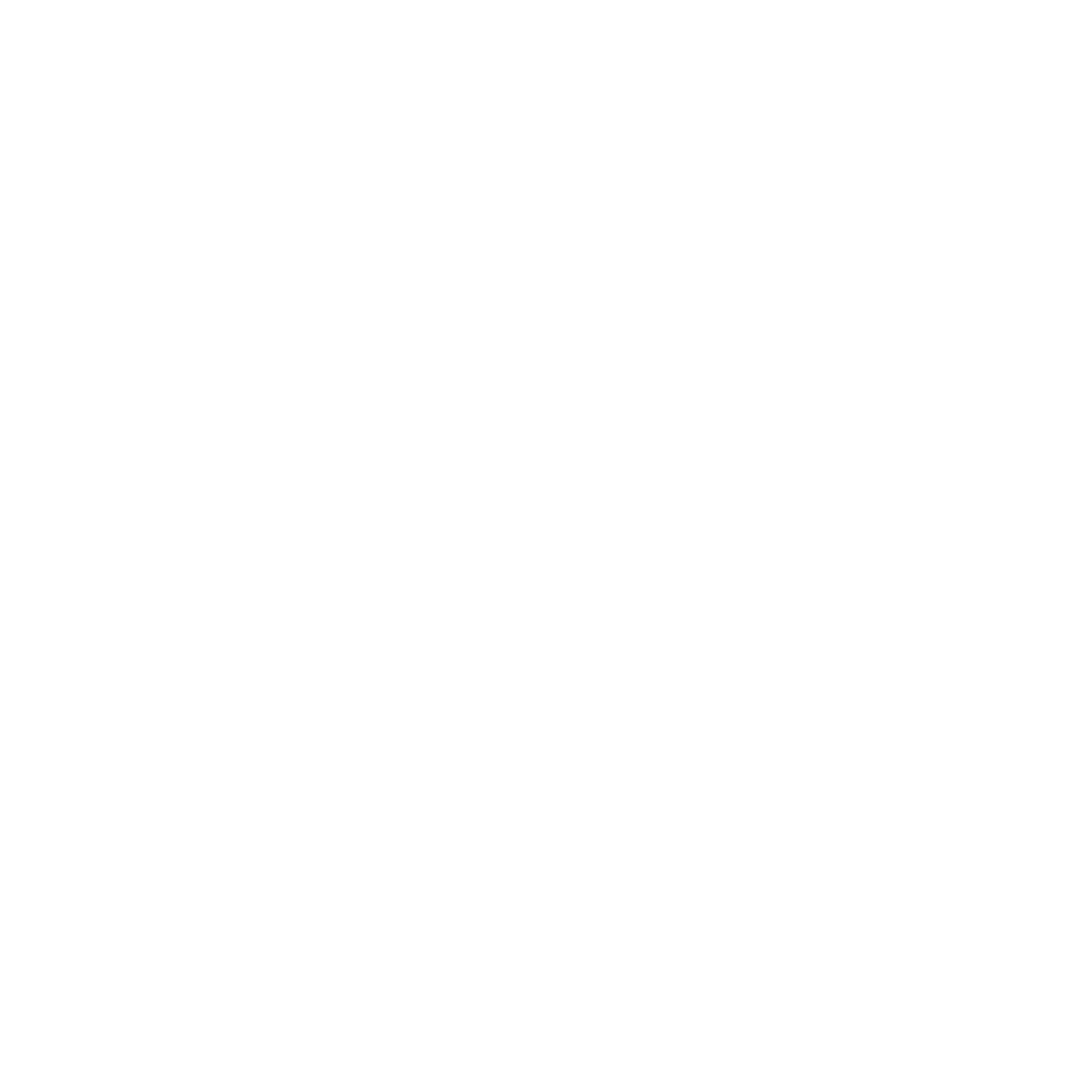 Team TPA 2025 United Airlines NYC Half Marathon Campaign