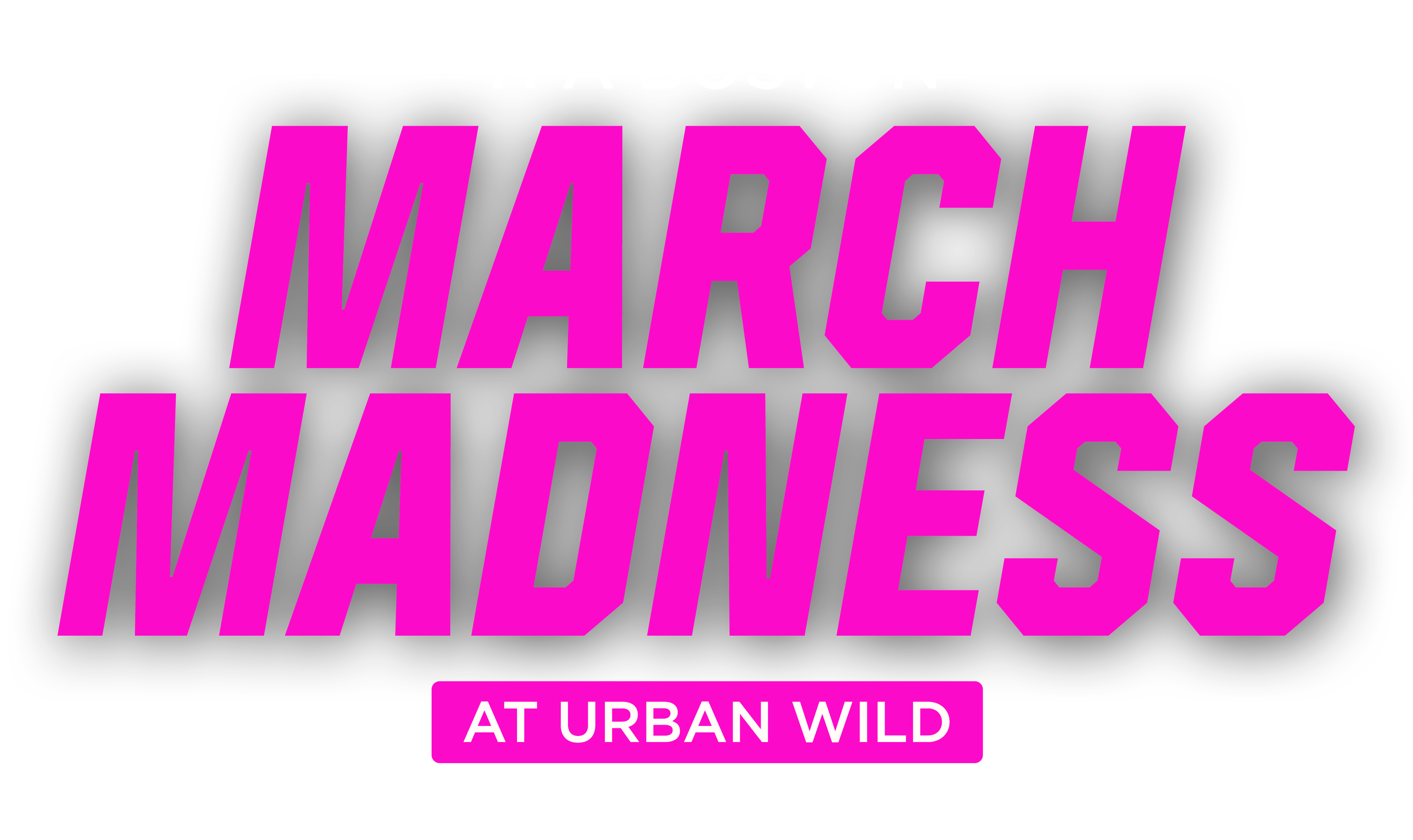 2025 TPA Boston's March Madness at Urban Wild Campaign