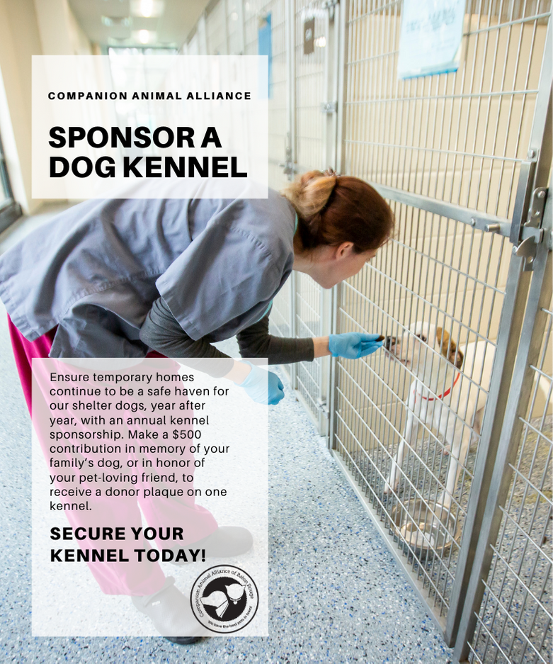 Donate to Kennel Sponsorship