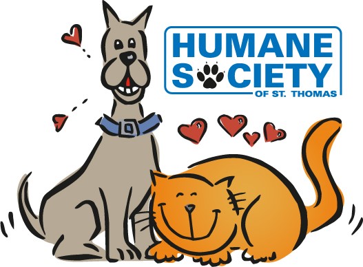 Go to the HSSTT Strut for Strays & Walk'n Wags landing page