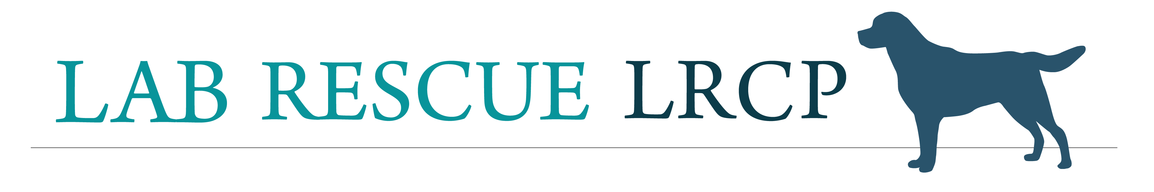 Lab Rescue LRCP's 2023 Brunch & Baskets Campaign