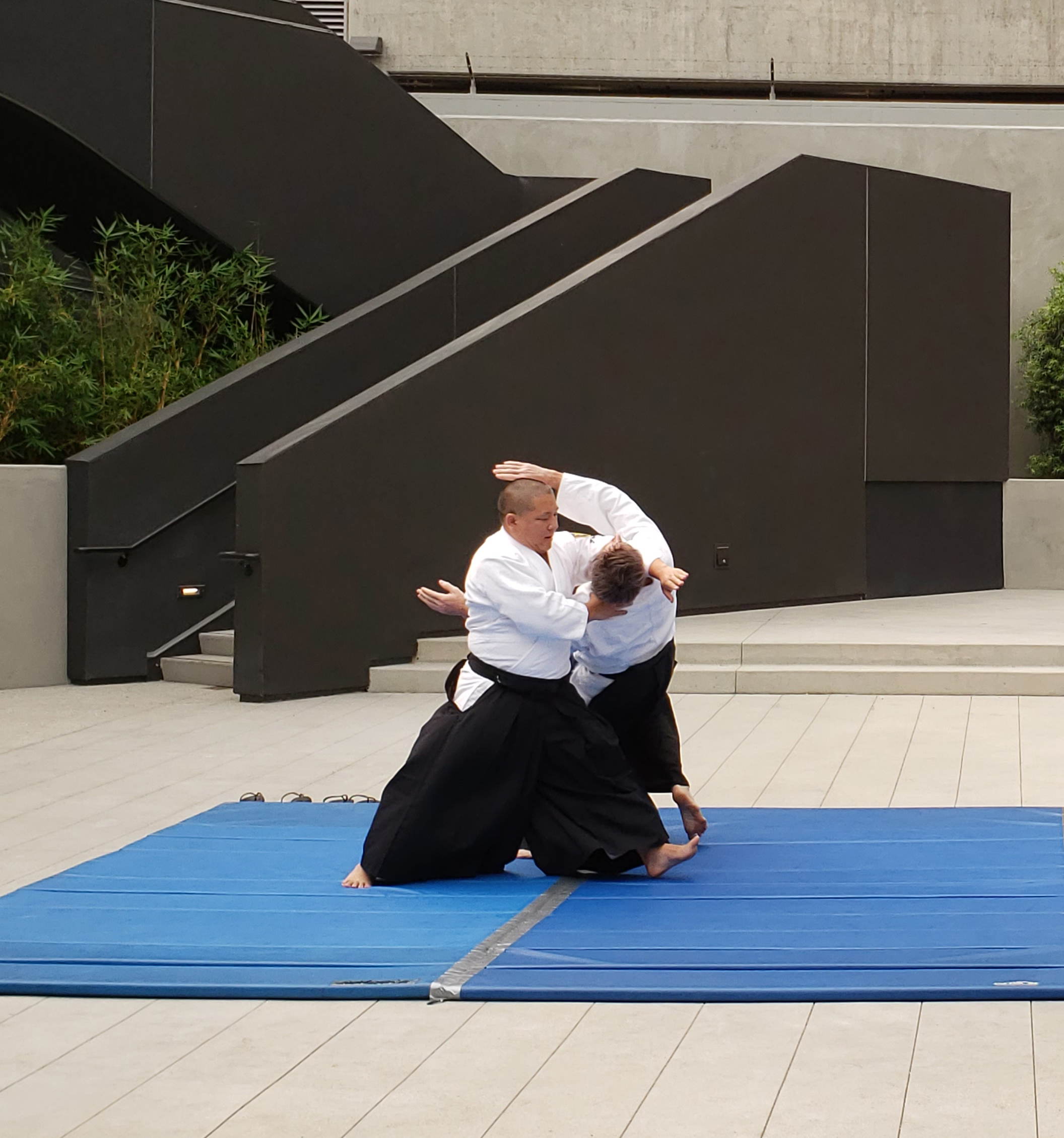 Pin on Aikido martial arts