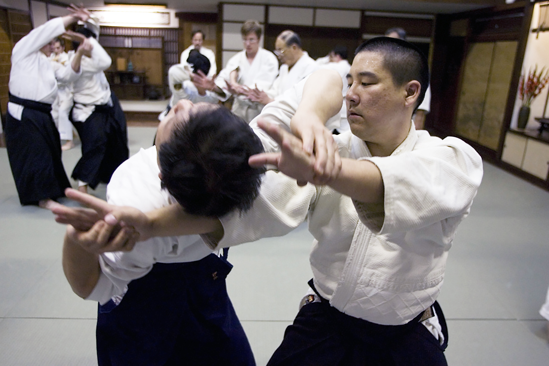 Pin on Aikido martial arts