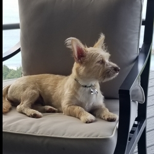 YODA's Avatar
