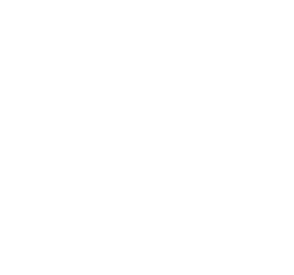 Capitol Cup 2023 - white