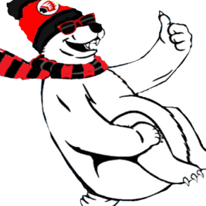 Waynesburg Satu-Raiders