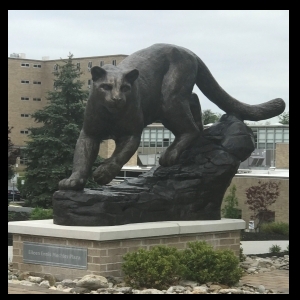 View Top Team - 'MSJ Lions: Rising Higher' team page using image