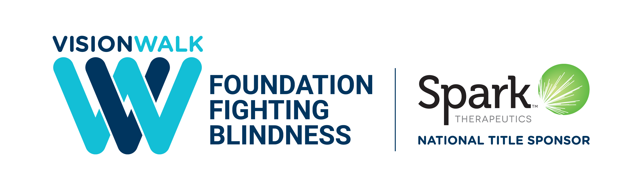 Fundraising for Foundation Fighting Blindness