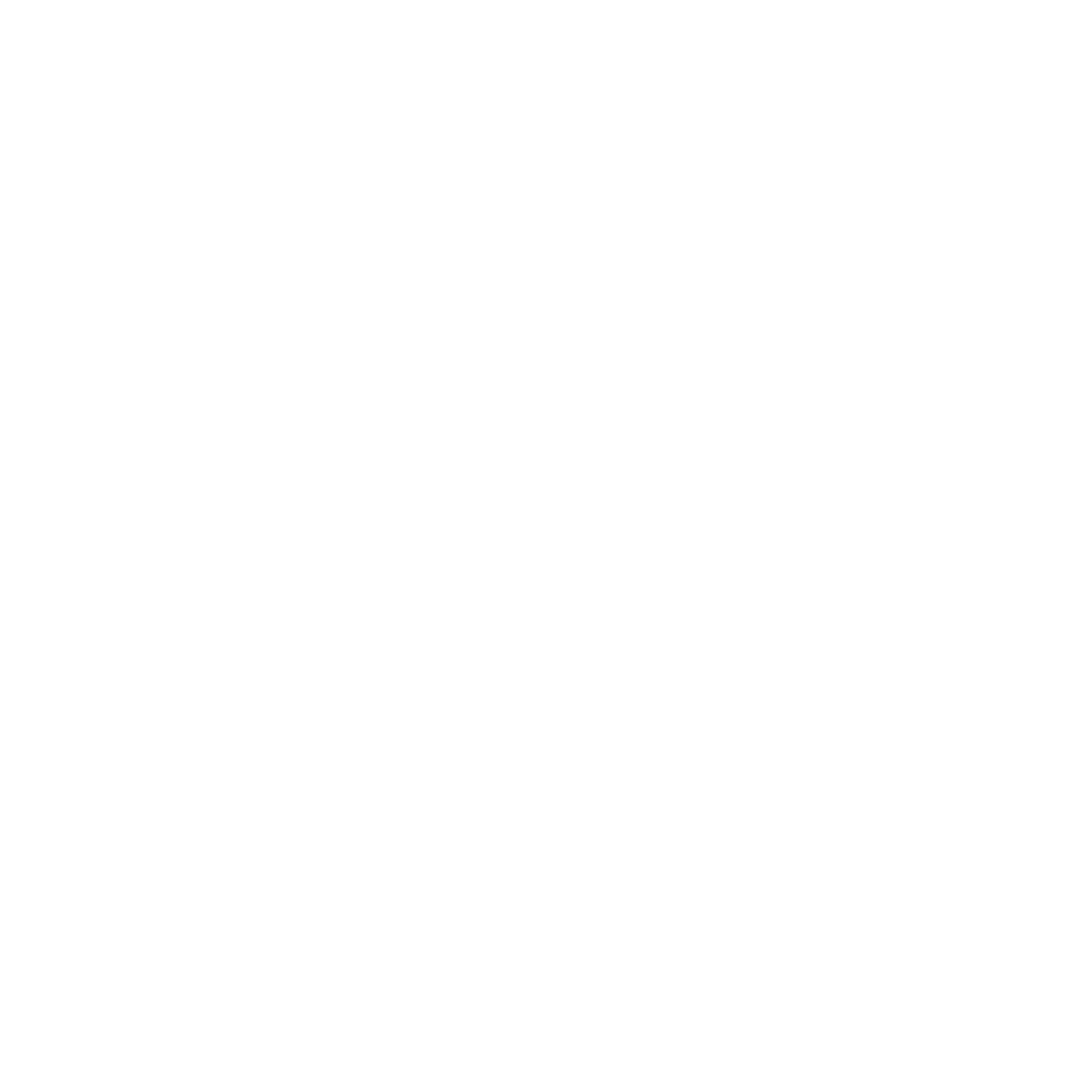 2025 United Airlines NYC Half Campaign