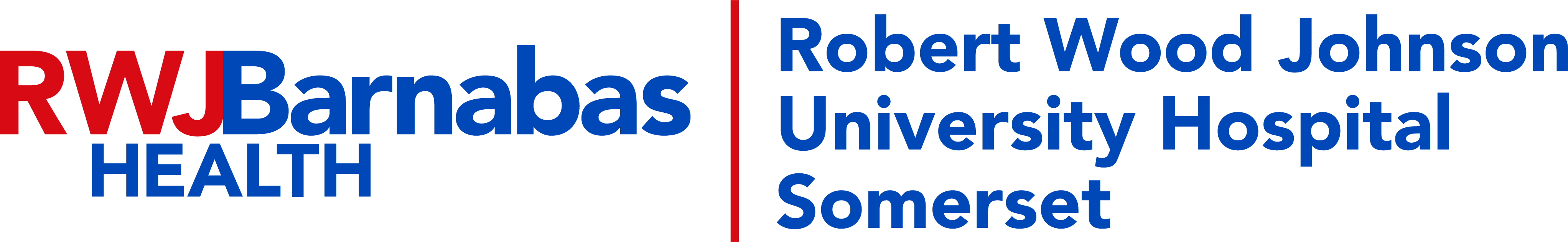 RWJBarnabas Health Foundation logo logo