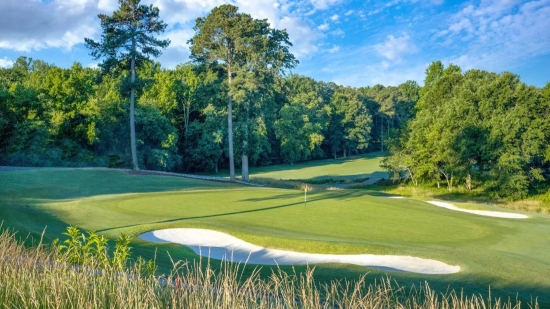 2023 Special Olympics Young Professionals Board Golf Tournament - Campaign