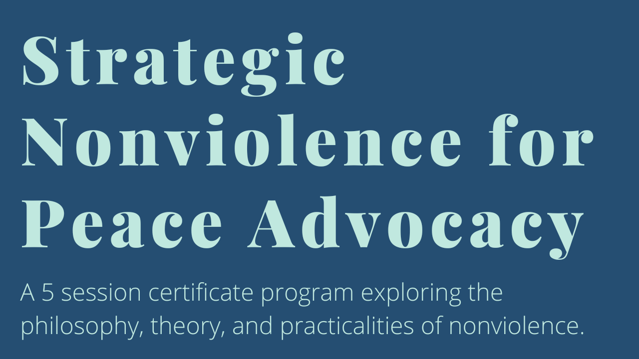 strategic-nonviolence-for-peace-advocacy-campaign