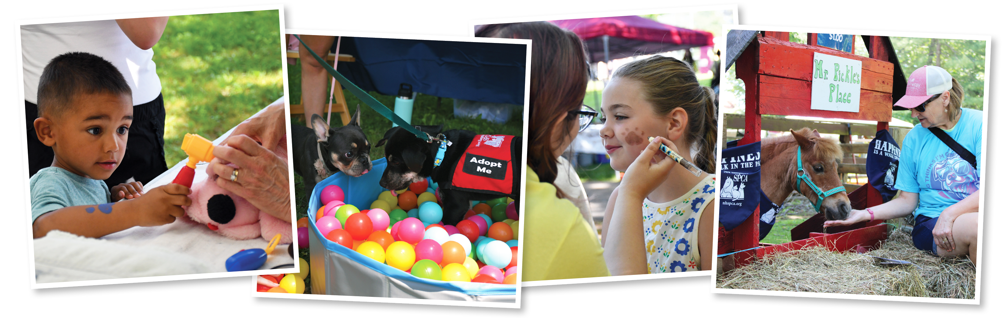 paws-walk-2025-campaign