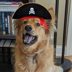 Pirates & Puppies's Avatar