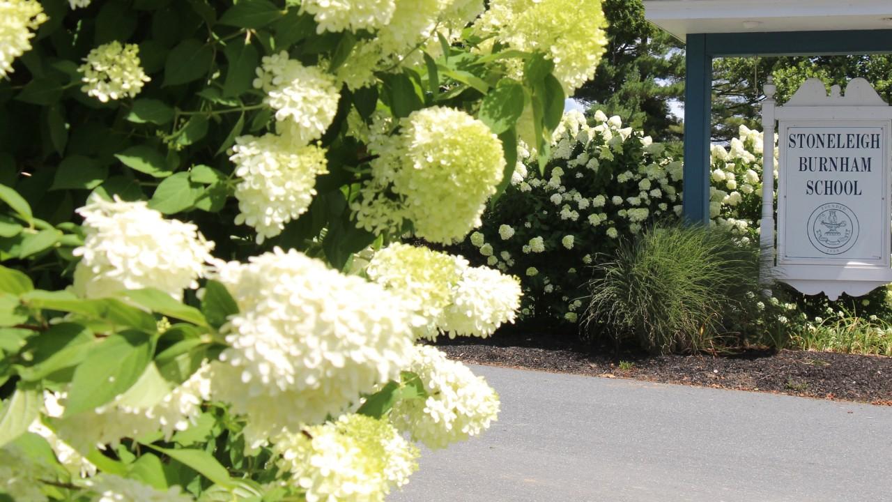 Speak Up for StoneleighBurnham Campaign