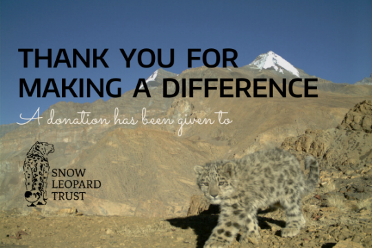 Donate to Strides for Snow Leopards: 40 for 40