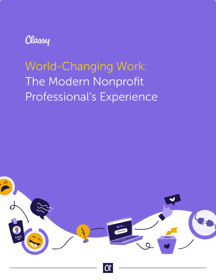 World-Changing Work: A Modern Nonprofit Professional's Experience - Report